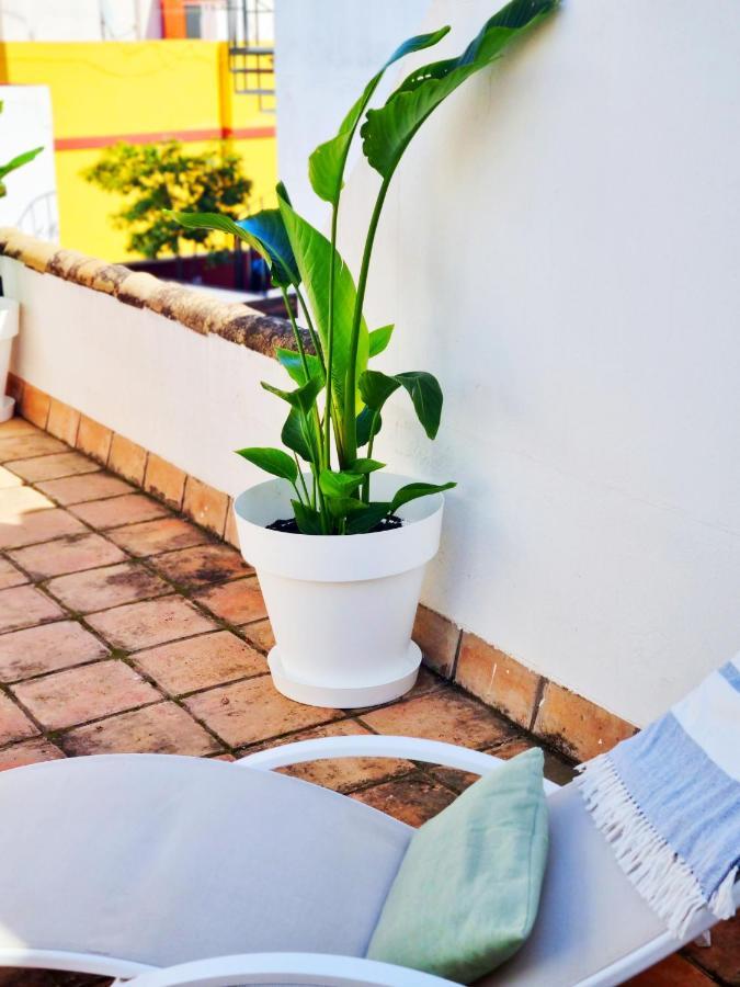 Loft & Private Rooftop With Bbq Sevilla Exterior foto